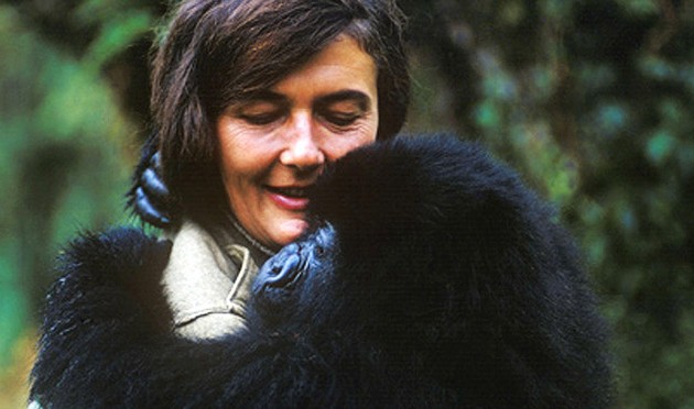 Remembering Dr. Dian Fossey, an Inspiration and Passionate Gorilla Advocate