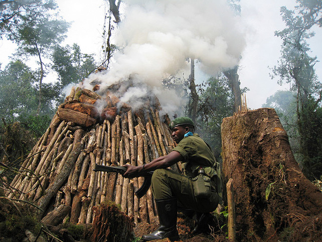 solomon_w_jagwe_galiwango_film_conservation_front_feature_19