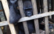 Africa: UN Recognizes Wildlife Trafficking as a ‘Serious Crime’