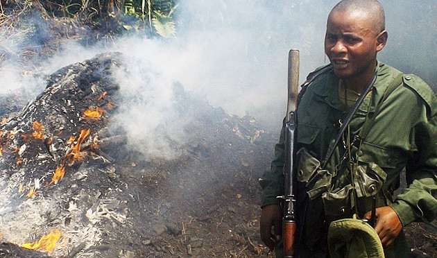 Virunga Field Report ~ Anti-Charcoal Patrol Results in Arrests