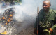 Virunga Field Report ~ Anti-Charcoal Patrol Results in Arrests