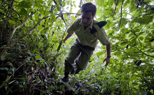 National Geographic Report ~ Warden Emmanuel de Merode, Wounded in Africa’s Oldest National Park Had Enemies